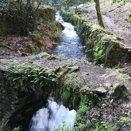 Casinha Do Talasnal Lousã Dış mekan fotoğraf