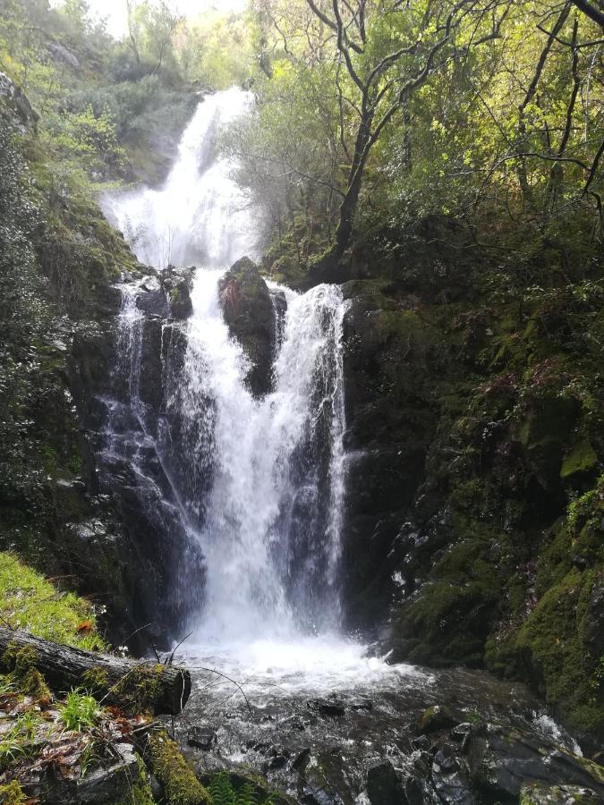 Casinha Do Talasnal Lousã Dış mekan fotoğraf
