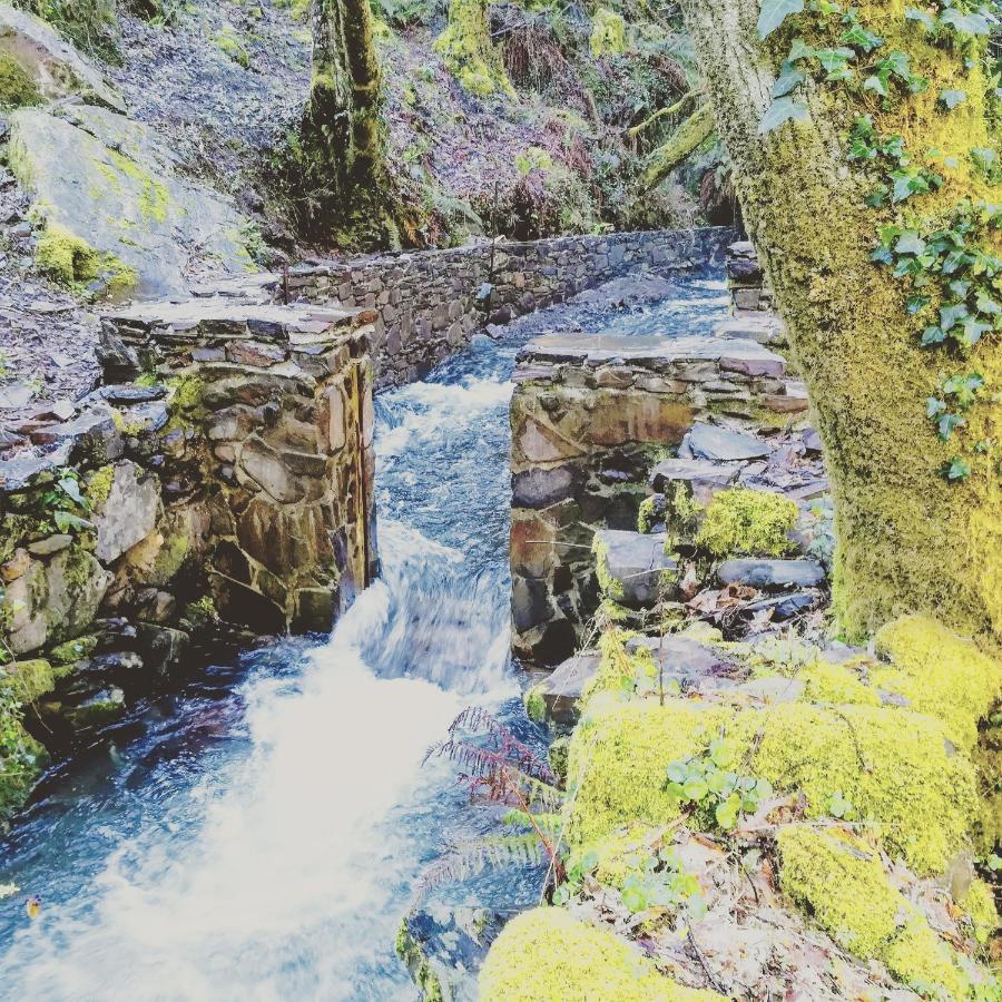 Casinha Do Talasnal Lousã Dış mekan fotoğraf